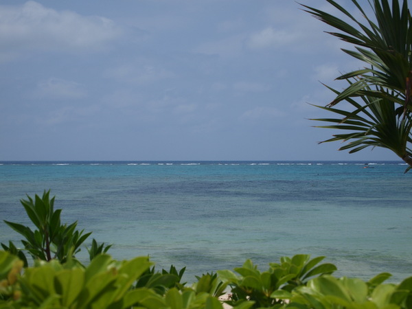e0111793_16475589.jpg