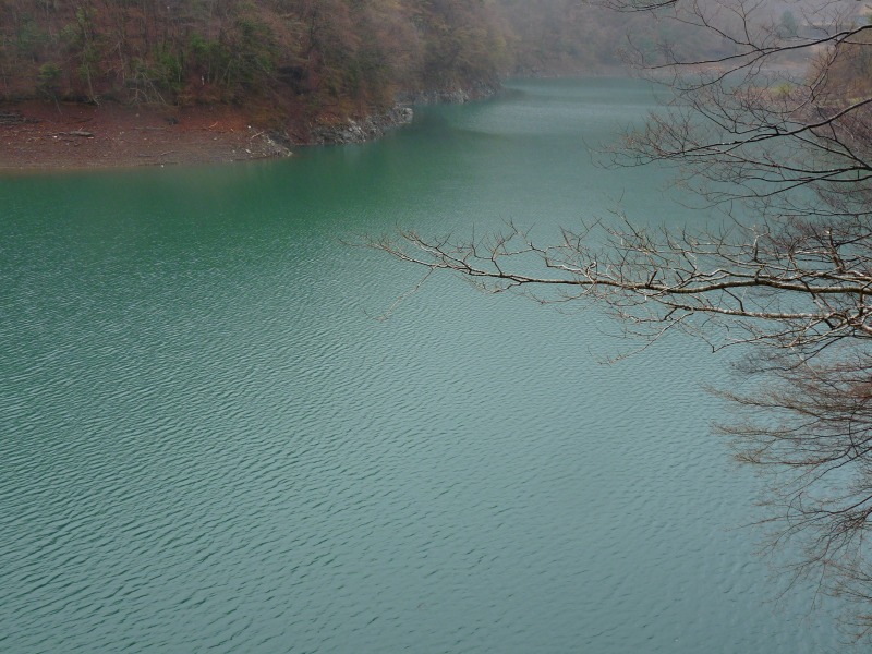 e0202393_729298.jpg