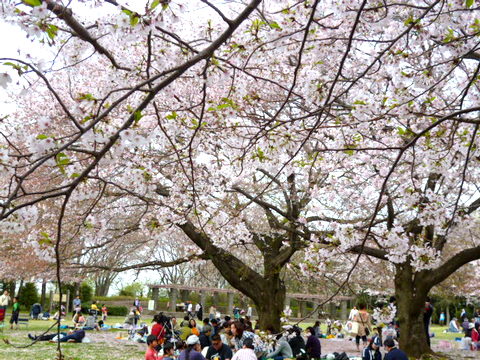 f0137694_8171814.jpg