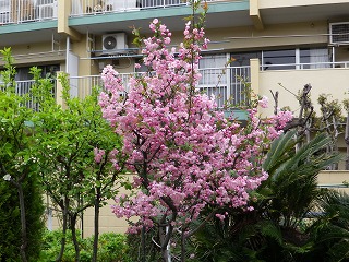 e0002896_22555563.jpg