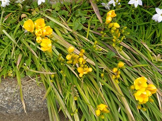 e0002896_2301451.jpg