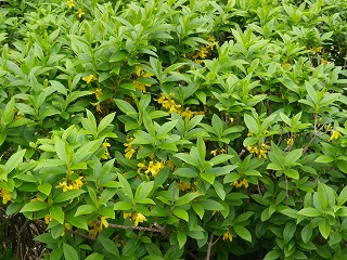 e0002896_2321659.jpg