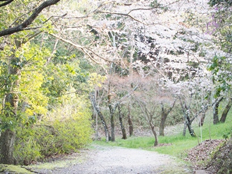 c0173697_017994.jpg