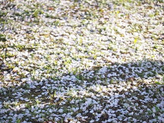 c0173697_0211537.jpg