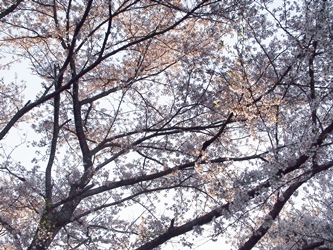 c0173697_021307.jpg