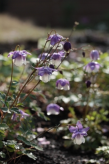 e0209997_21421939.jpg