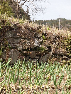 c0187298_22324514.jpg
