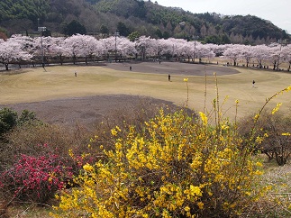 c0187298_22342342.jpg