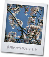 a0143504_3413648.jpg
