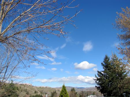 b0051109_1583485.jpg