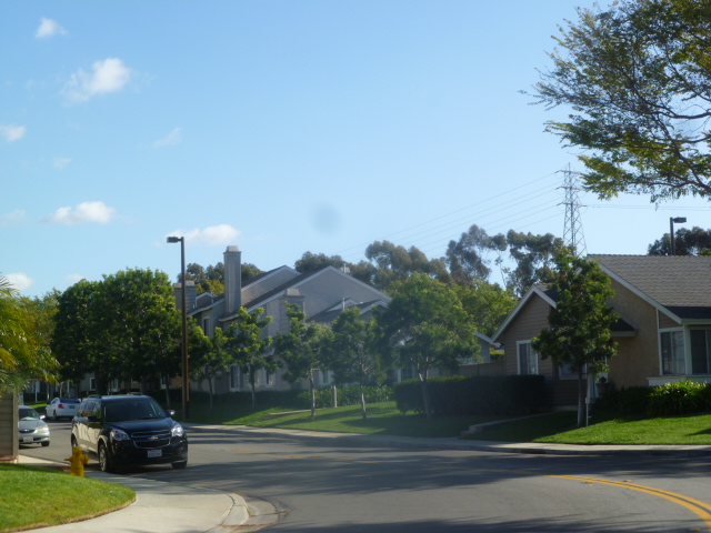 a0144811_3291354.jpg