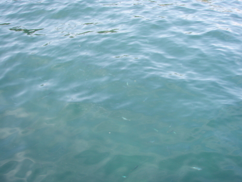 b0121015_20141462.jpg