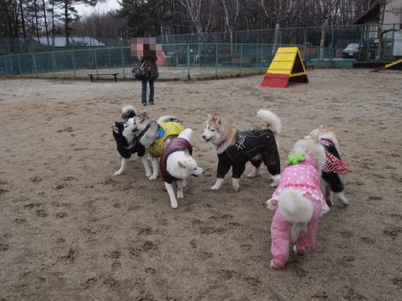 b0207615_20465344.gif