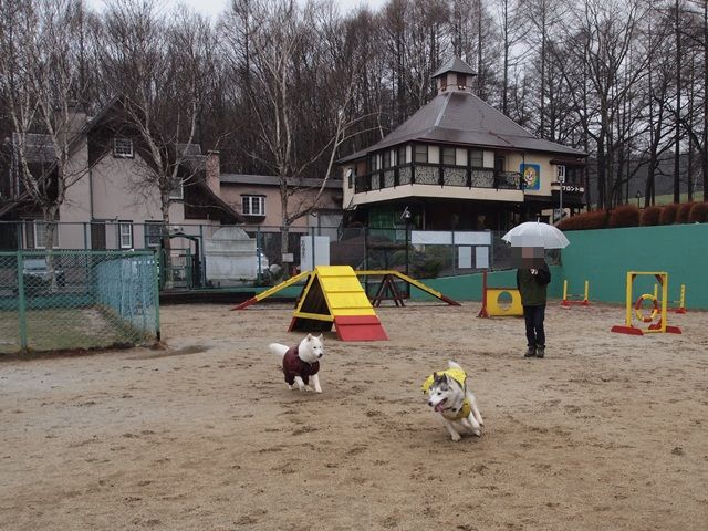 b0207615_2047732.jpg