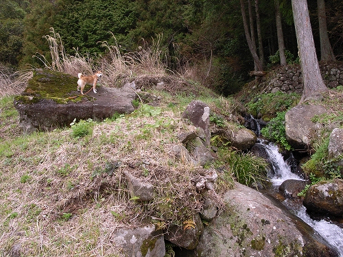 b0225620_0473348.jpg