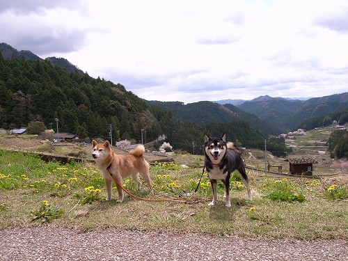 b0225620_048040.jpg