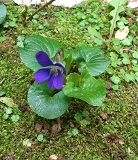 b0000924_1617778.jpg