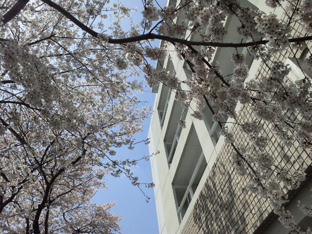 b0199924_156159.jpg