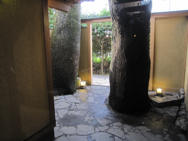 c0051529_20411857.jpg