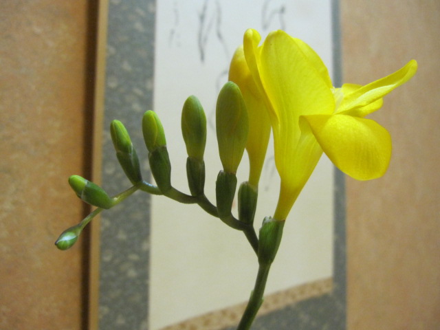 c0051529_20512767.jpg