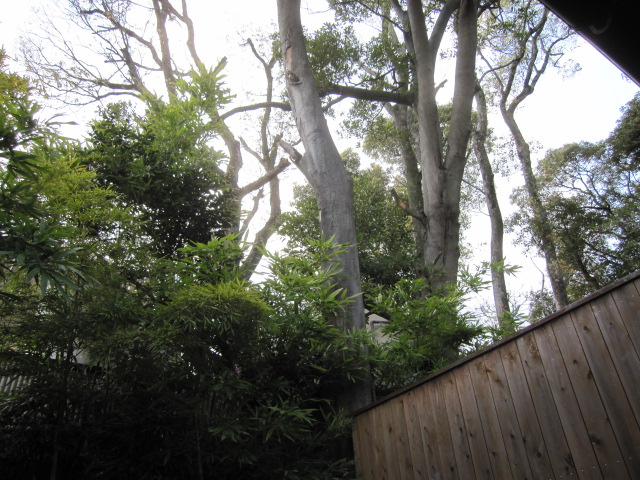 c0051529_20543311.jpg