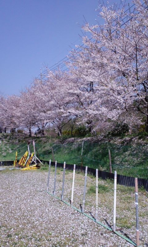 e0137731_0143040.jpg