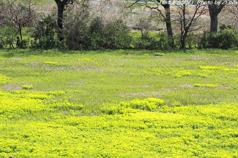 a0195032_2140515.jpg