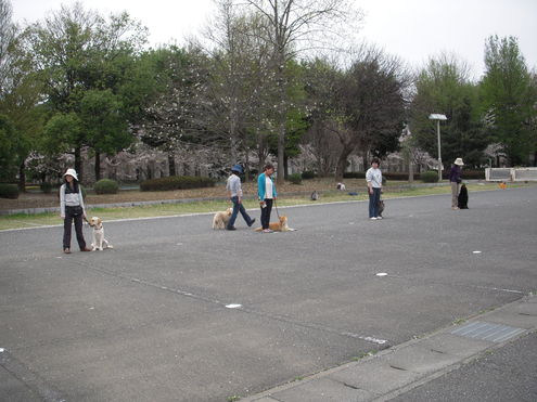 c0114833_6254769.jpg