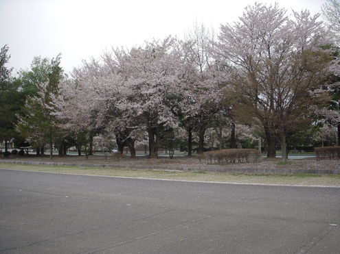 c0114833_640172.jpg