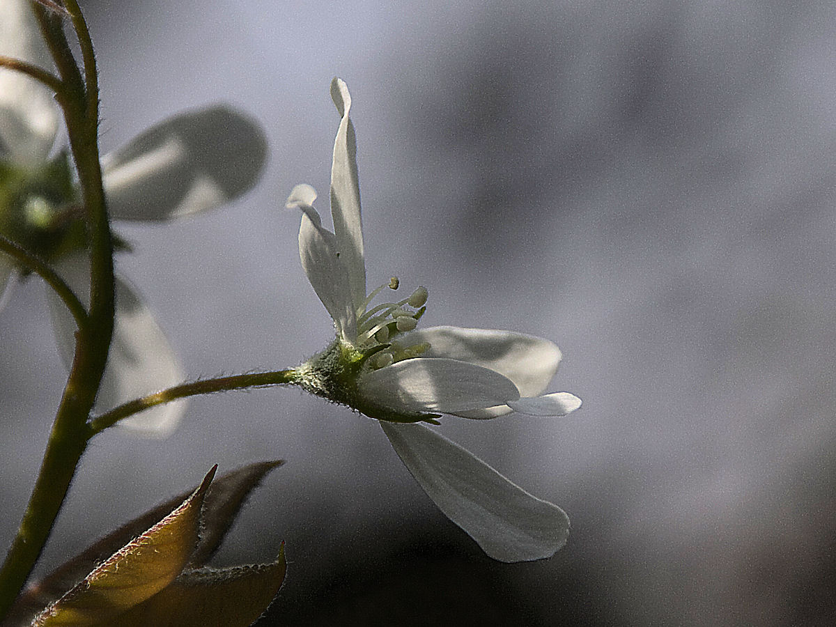 d0213034_1265644.jpg