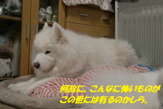 e0196135_22251063.jpg