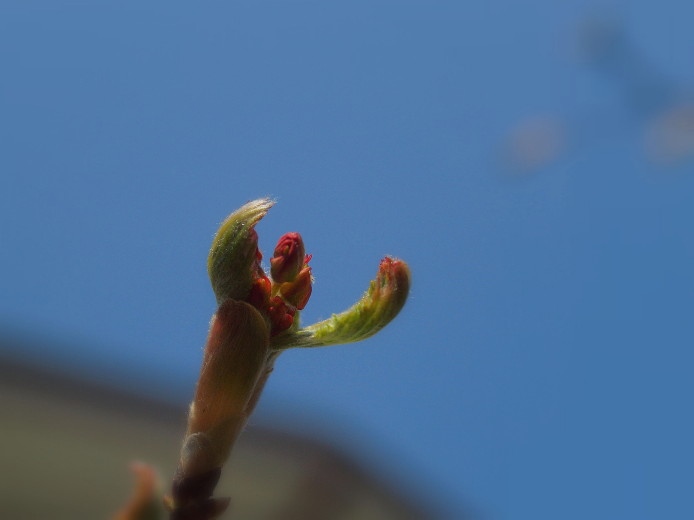 d0241937_18255765.jpg