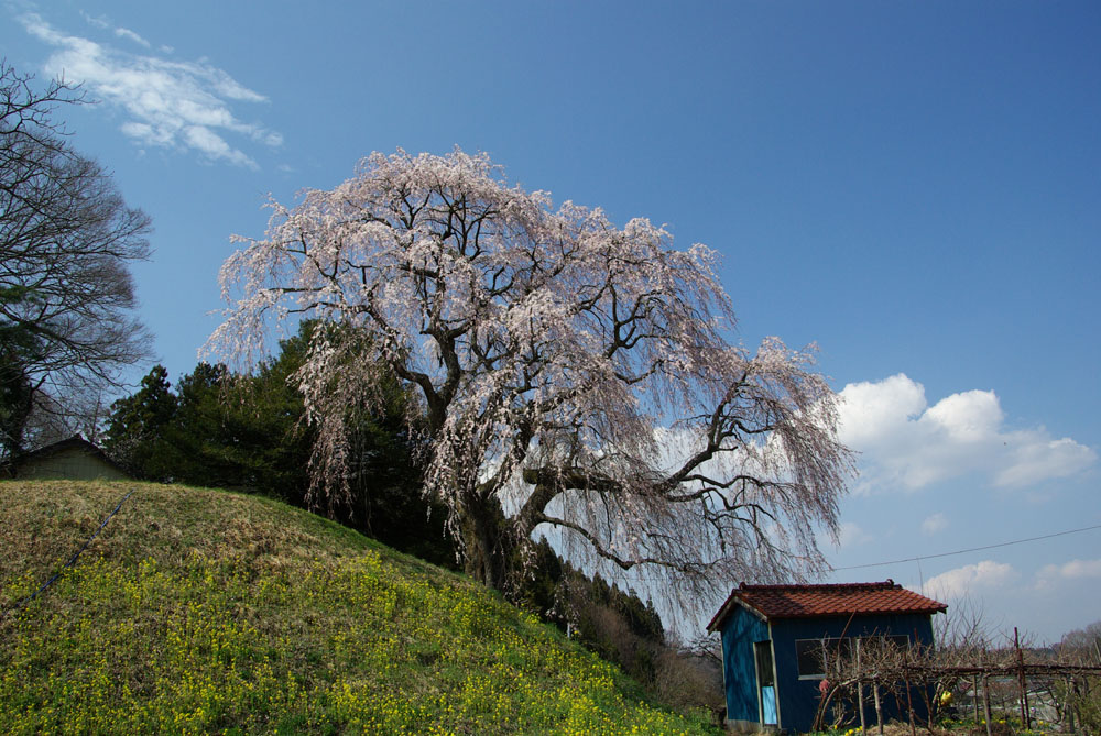 b0247838_0232976.jpg