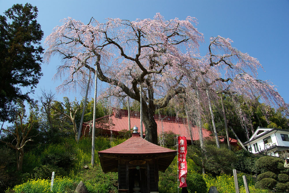 b0247838_0241536.jpg