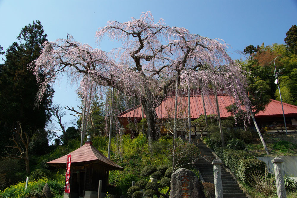 b0247838_024267.jpg