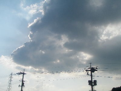 a0054240_2017249.jpg