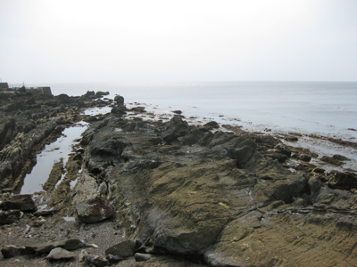 f0141840_22161277.jpg