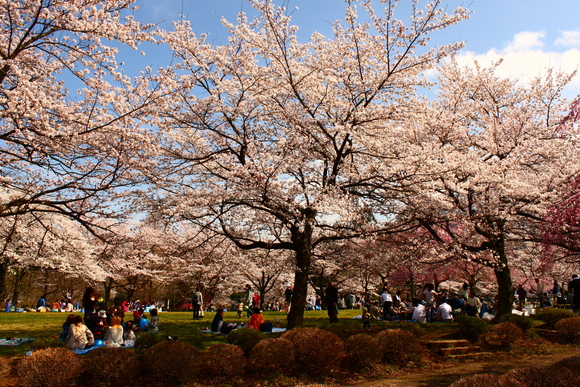 b0223541_2241054.jpg