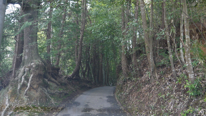 e0227942_21225961.jpg