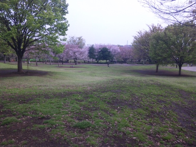 c0240644_9594964.jpg