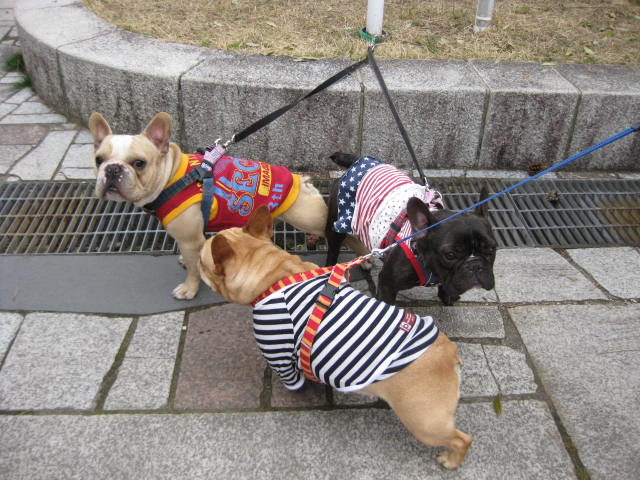 f0090344_11113745.jpg
