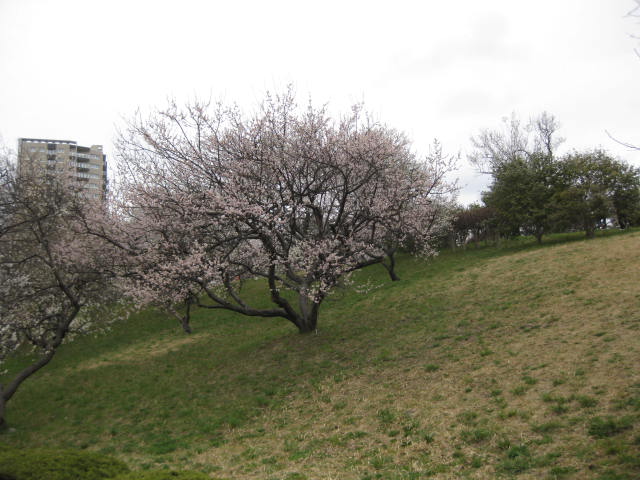 f0090344_1215211.jpg