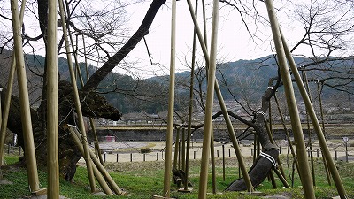 c0220047_15205556.jpg