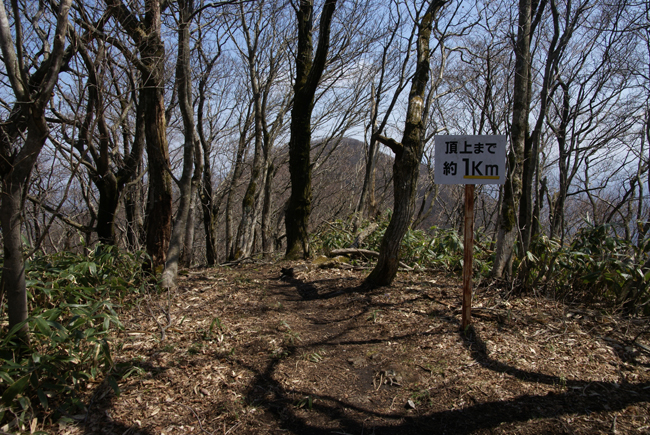 f0214649_4482958.jpg