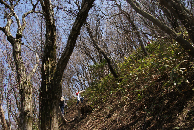 f0214649_4494757.jpg