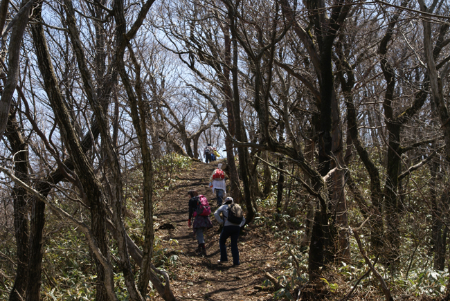 f0214649_4502910.jpg