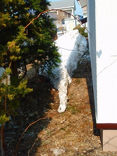 e0004756_2155867.jpg