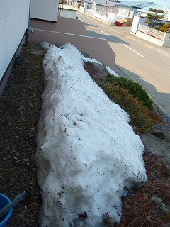e0004756_22165437.jpg