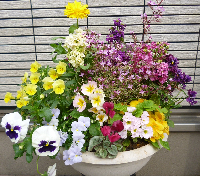 d0008157_06156.jpg