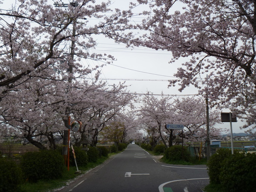 d0231858_7251341.jpg